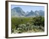 Big Bend National Park, Texas, USA-Ethel Davies-Framed Photographic Print