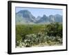 Big Bend National Park, Texas, USA-Ethel Davies-Framed Photographic Print