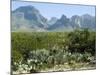 Big Bend National Park, Texas, USA-Ethel Davies-Mounted Photographic Print