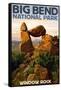 Big Bend National Park, Texas - Window Rock-Lantern Press-Framed Stretched Canvas
