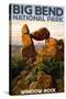 Big Bend National Park, Texas - Window Rock-Lantern Press-Stretched Canvas