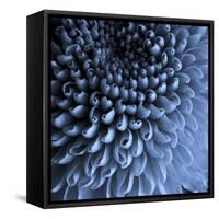 Big Blue-Doug Chinnery-Framed Stretched Canvas