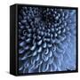 Big Blue-Doug Chinnery-Framed Stretched Canvas