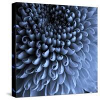 Big Blue-Doug Chinnery-Stretched Canvas