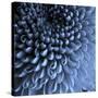 Big Blue-Doug Chinnery-Stretched Canvas