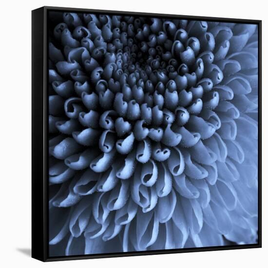 Big Blue-Doug Chinnery-Framed Stretched Canvas