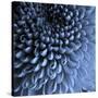 Big Blue-Doug Chinnery-Stretched Canvas