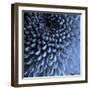 Big Blue-Doug Chinnery-Framed Premium Photographic Print
