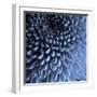 Big Blue-Doug Chinnery-Framed Premium Photographic Print