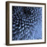 Big Blue-Doug Chinnery-Framed Photographic Print