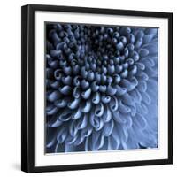 Big Blue-Doug Chinnery-Framed Photographic Print