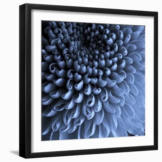 Big Blue-Doug Chinnery-Framed Photographic Print