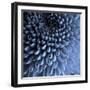 Big Blue-Doug Chinnery-Framed Photographic Print