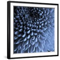 Big Blue-Doug Chinnery-Framed Photographic Print