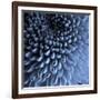 Big Blue-Doug Chinnery-Framed Photographic Print