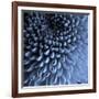 Big Blue-Doug Chinnery-Framed Photographic Print