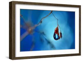 Big blue-Heidi Westum-Framed Photographic Print