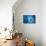 Big blue-Heidi Westum-Mounted Photographic Print displayed on a wall