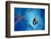 Big blue-Heidi Westum-Framed Photographic Print