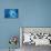 Big blue-Heidi Westum-Stretched Canvas displayed on a wall