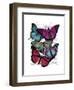 Big Bold Butterflies 3-Fab Funky-Framed Art Print