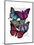 Big Bold Butterflies 3-Fab Funky-Mounted Art Print
