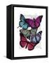 Big Bold Butterflies 3-Fab Funky-Framed Stretched Canvas