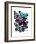 Big Bold Butterflies 5-Fab Funky-Framed Art Print