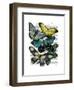 Big Bold Butterflies 6-Fab Funky-Framed Art Print