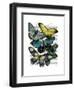 Big Bold Butterflies 6-Fab Funky-Framed Art Print