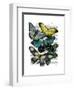 Big Bold Butterflies 6-Fab Funky-Framed Art Print