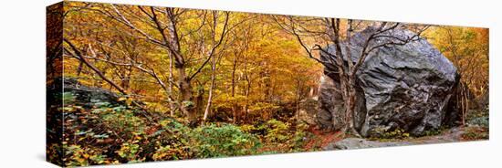 Big Boulder in a Forest, Stowe, Lamoille County, Vermont, USA-null-Stretched Canvas