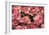 Big Bouquet of Pink Roses Horizontal-Denis Karpenkov-Framed Photographic Print