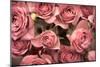 Big Bouquet of Pink Roses Horizontal-Denis Karpenkov-Mounted Photographic Print