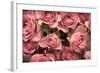 Big Bouquet of Pink Roses Horizontal-Denis Karpenkov-Framed Photographic Print