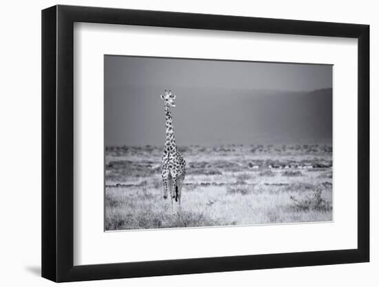 Big Boy-Mark Bridger-Framed Giclee Print