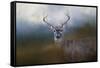 Big Boy-Jai Johnson-Framed Stretched Canvas