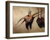 Big Brace of Pheasants-James Gillick-Framed Giclee Print