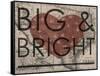 Big & Bright - 1864, Texas Mitchell Plate, Texas, United States Map-null-Framed Stretched Canvas