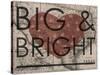 Big & Bright - 1864, Texas Mitchell Plate, Texas, United States Map-null-Stretched Canvas