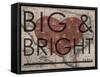 Big & Bright - 1864, Texas Mitchell Plate, Texas, United States Map-null-Framed Stretched Canvas