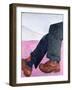 Big Brogues, 1977-Peter Wilson-Framed Giclee Print