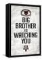 Big Brother is Watching You 1984 INGSOC Political Poster-null-Framed Stretched Canvas