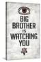 Big Brother is Watching You 1984 INGSOC Political Poster-null-Stretched Canvas