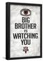 Big Brother is Watching You 1984 INGSOC Political Poster-null-Framed Poster