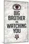 Big Brother is Watching You 1984 INGSOC Political-null-Mounted Art Print