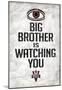 Big Brother is Watching You 1984-null-Mounted Poster