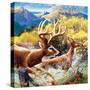 Big Buck HD Cabinet Art-John Youssi-Stretched Canvas