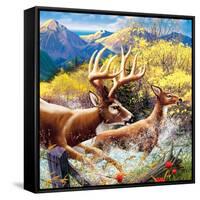 Big Buck HD Cabinet Art-John Youssi-Framed Stretched Canvas