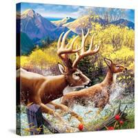 Big Buck HD Cabinet Art-John Youssi-Stretched Canvas
